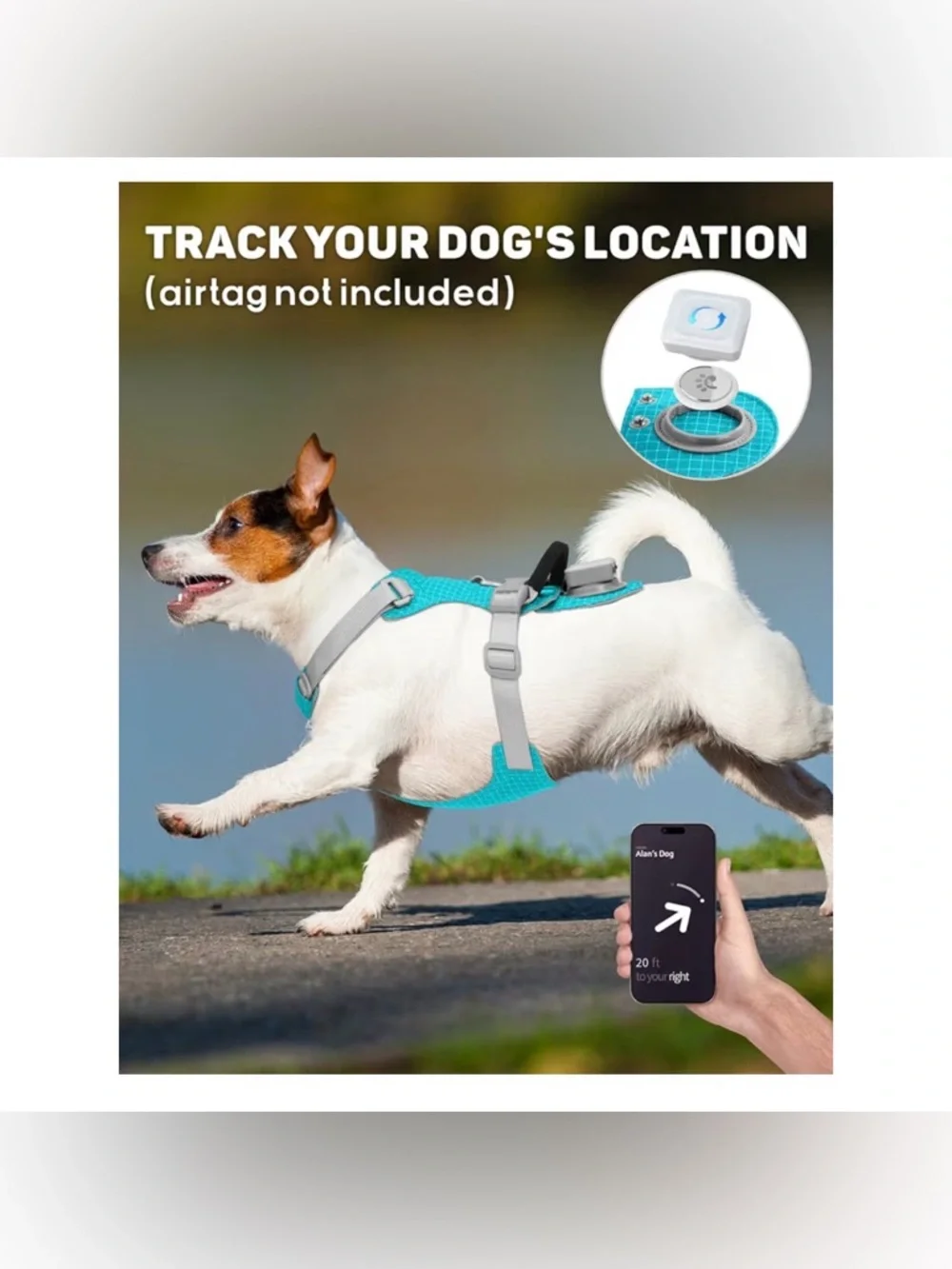 TagME Light Up Dog Harness